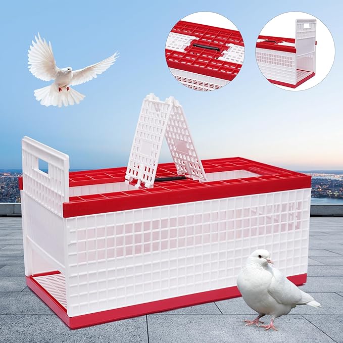 Racing Pigeon Carrier Box Bird Training Basket with 2 Side Doors 2 Top Doors Box