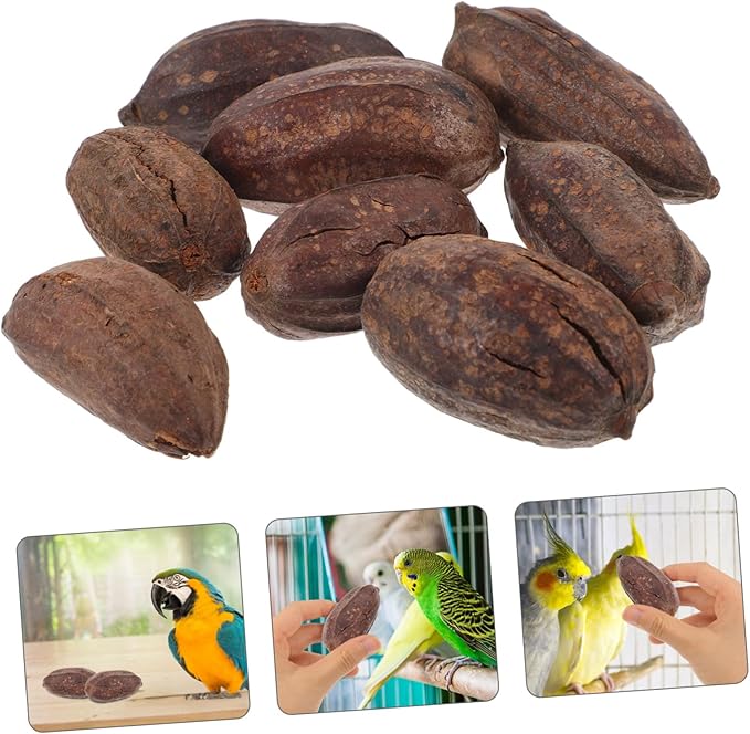 8pcs Natural Dried Fruit Bird Chew for Parrots Macaws Conures Mental Stimulation Foraging Shredding Cage Accessories to Reduce Loneliness