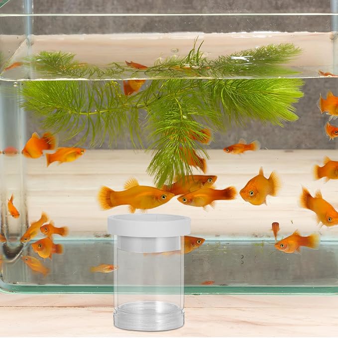Milisten Aquarium Fish Breeding Box Floating Egg Incubator Isolation Chamber for Guppy and Small Fish Hatchery White Small Size