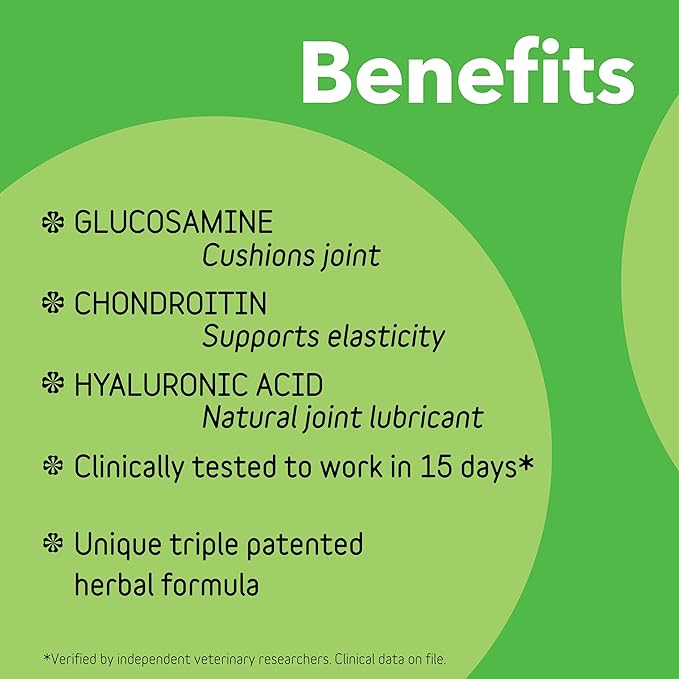 InClover Connectin Natural Hip & Joint Supplement for Dogs with Glucosamine, Chondroitin & Hyaluronic Acid - Powder for Dog Mobility, Comfort & Active Lifestyle Support, 23oz