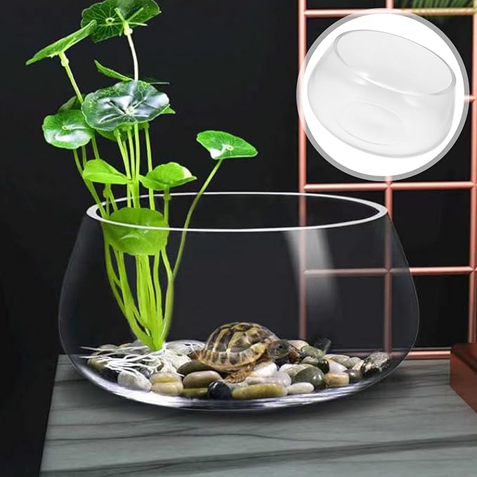 Milisten Thick Glass Turtle Bowl Aquarium Tank 20l Large Round Fish Bowl for Desktop Aquatic Landscaping and Hydroponic Plant Vase