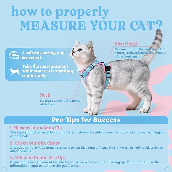rabbitgoo Cat Harness and Leash for Walking, Escape Proof Soft Adjustable Vest Harnesses for Cats, Easy Control Breathable Reflective Strips Jacket, Light Blue&Pink, S