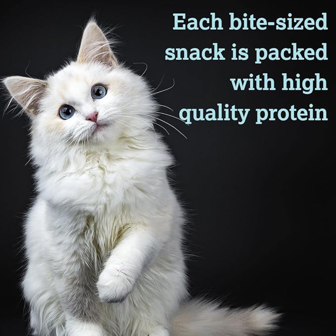 Caru - Soft ‘n Tasty Baked Bites - Chicken Bites Cat Treats - Flavorful All-Natural Treats - 3 oz. (Pack of 2)