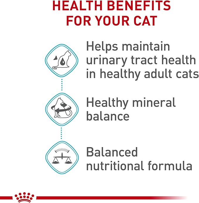 Royal Canin Feline Care Nutrition Urinary Care Adult Dry Cat Food, 3 lb Bag