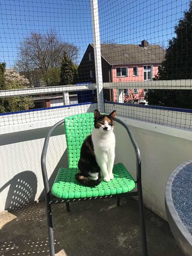 Cat Netting Balcony 10 * 20ft Pet Mesh Fence for Balcony Black Nylon Balcony Netting for Pets Anti-Fall Cat Net for Balcony and Windows