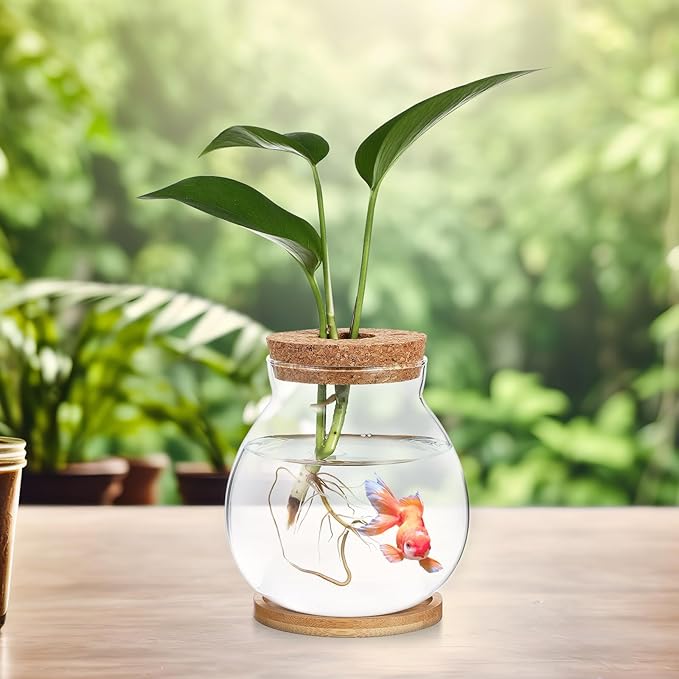 Milisten Desktop Fish Tank Small Glass Bowl with Wood Lid and Bamboo Cushion Hydroponic Plant Terrarium Betta Fish Aquarium for Home Office Decoration