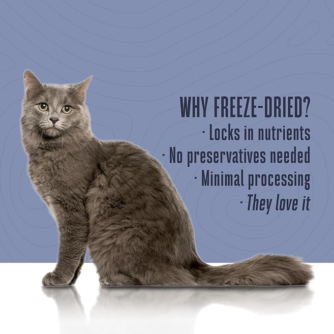 Whole Life Pet Living Treats for Cats – Healthy Gut with Chicken and Yogurt – Human Grade, Probiotics, Easy Digestion, Sensitive Stomachs - Made in The USA (Pack of 2)
