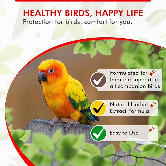 Morning Bird Revive 1 Fl oz – Herbal Extract Blend for Immune Support for Birds - Improved Liquid Formula for Optimum Immune Defense & Faster Absorption - Enhanced Digestive Health, Energy & Wellness
