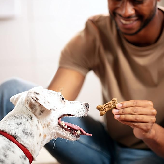 Milk-Bone Flavor Snacks Small Dog Treats, 60 Ounce (Pack of 3)