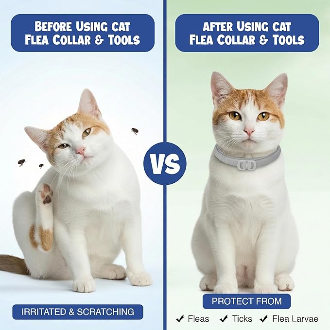 Cat Flea and Tick Collar (2 Pack) – Natural Waterproof Flea Collar for Cats & Kittens with 8 Month Protection Adjustable Cat Flea Collar Includes Tick Removal Tools & Flea Comb