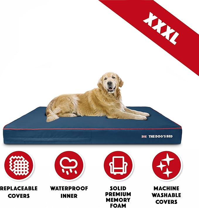 The Dog’s Bed Orthopedic Memory Foam Dog Bed Mattress, Oxford Fabric, Blue with Red Trim, XXXL, 6-Inch