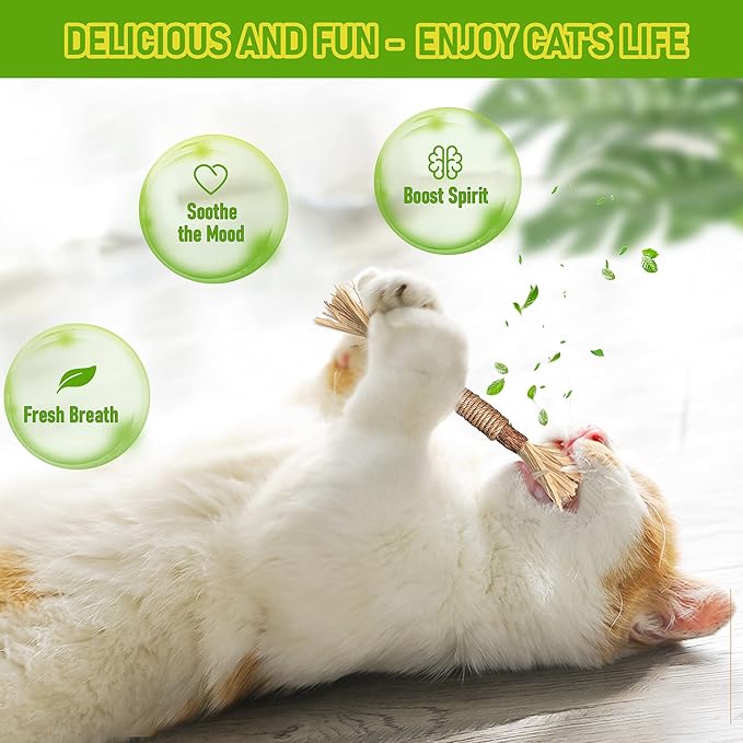 BAWAN Catnip Toys‖ Silvervine for Cats: Cute Cat & Kitten Toys for Indoor Cats Interactive‖ Cat & Kitten Teething Chew Toys for Aggressive Chewers‖ Silvervine Sticks Ca.t Dental Toy (5PCS)