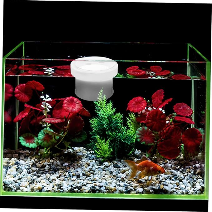 Mikikit Floating Aquarium Breeding Box Acrylic Fish Tank Isolator with Removable Cover Water Permeable Fish Separator and Adaptation