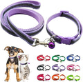 Reflective Small Dog Collar and Leash Sets, Puppy Collar and Leash Set Adjustable Kitten Collar with Bell for Tiny Little XXS XS Extra Small Breed Pets Dogs Cats Girls Female, Purple