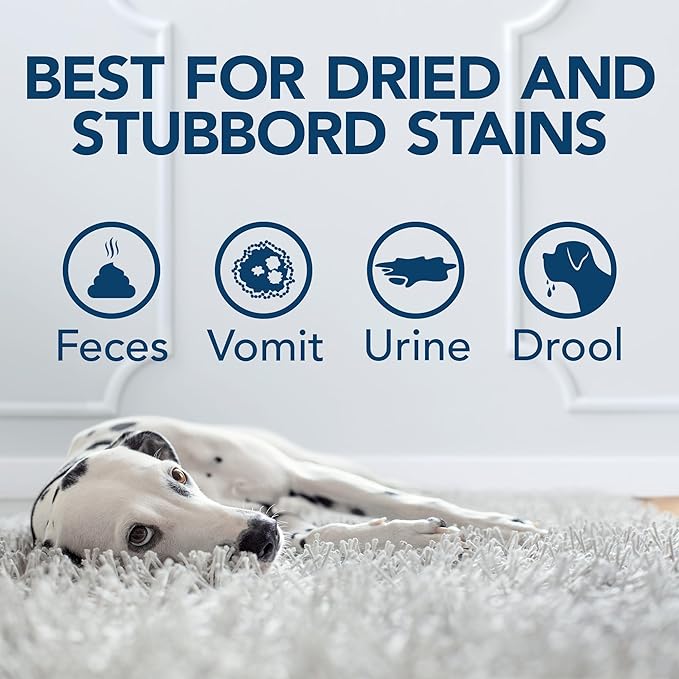 Simple Solution Oxy Charged Pet Stain and Odor Remover, Eliminates Pet Stains and Odors with 3X Cleaning Power, 1 Gallon
