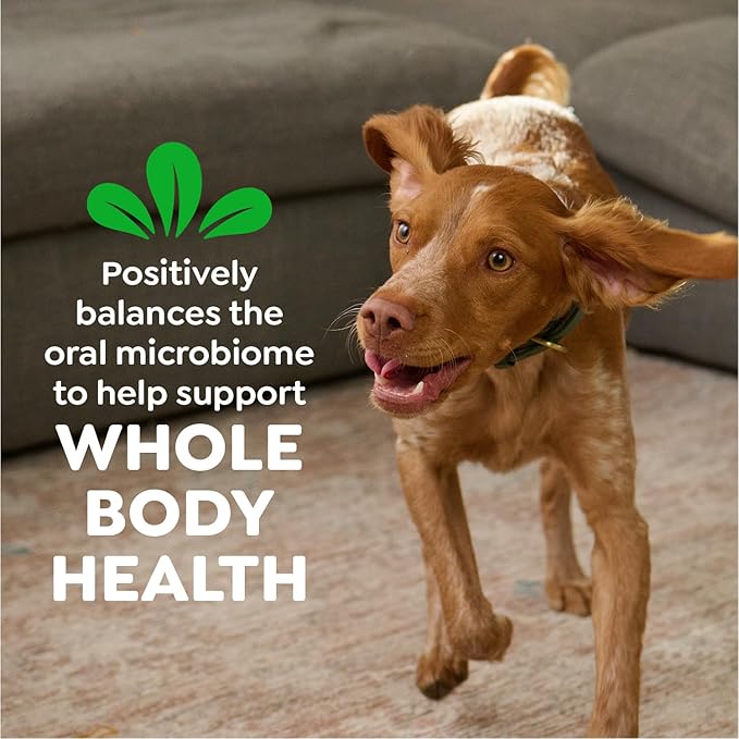 Greenies Veterinarian-Recommended Adult Natural Dental Dog Treats Large Size, Dog Dental Chews, Original Flavor, 27 oz. Pack, 17 Count