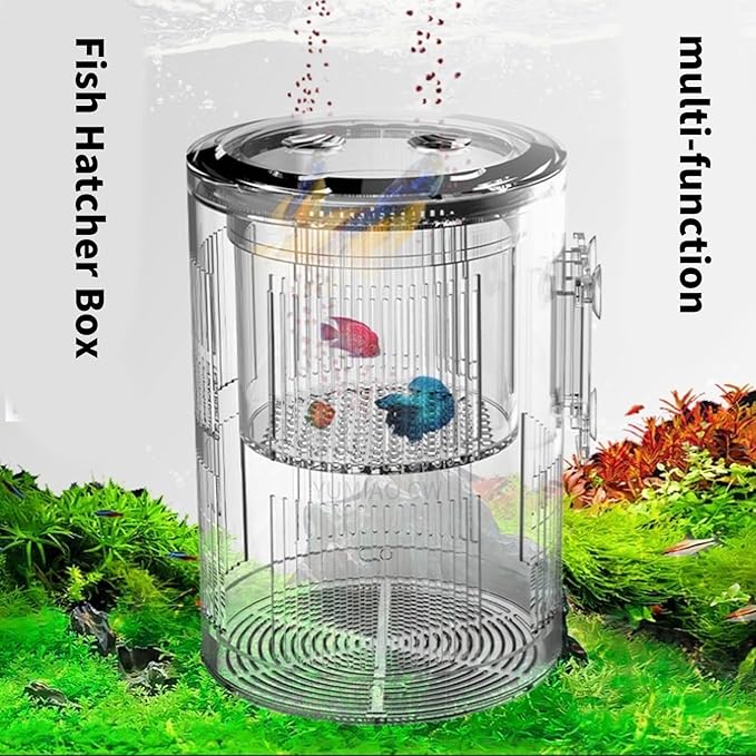 Aquarium Breeder Box for Fishtank Breeding Incubator Small Fish Hatchery Fish Spawning Box Separation Tanks