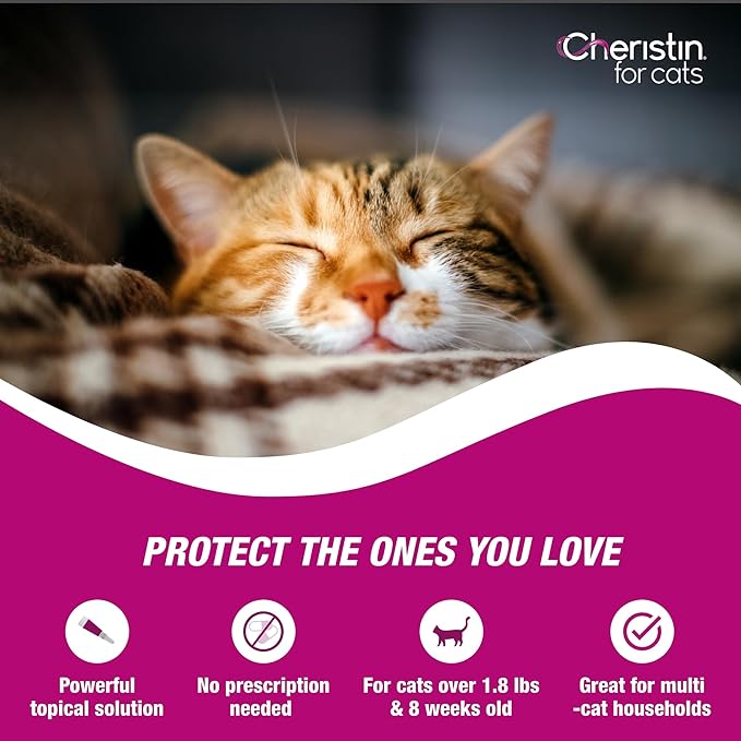 Cheristin Flea Treatment & Prevention for Cats | Fast Acting Topical flea Treatment for Cats Over 1.8 lbs | 1 Count (Pack of 2)