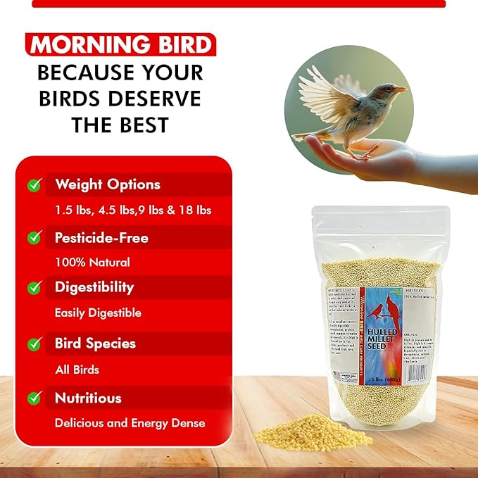 Morning Bird Hulled Millet 1.5 lbs – Nutritious Hulled Millet Seed - Waste Free - No Mess - Easily Digestible with High Fiber, Rich in Vitamins & Minerals for Birds, Ideal Bird Feed for All Bird Types