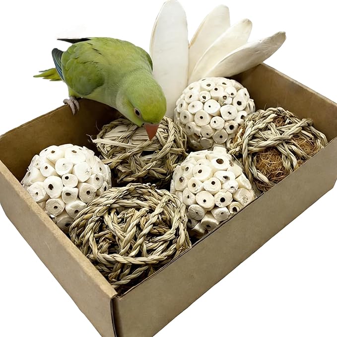 Bird Toys Sola Balls Parakeet Toys Soft Natural Chew Grass Balls with Cuttlebone for Parrots Conures Rabbits Hamster Guinea Pig Chinchilla (Style 1, 10 PCS)