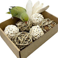 Bird Toys Sola Balls Parakeet Toys Soft Natural Chew Grass Balls with Cuttlebone for Parrots Conures Rabbits Hamster Guinea Pig Chinchilla (Style 1, 10 PCS)