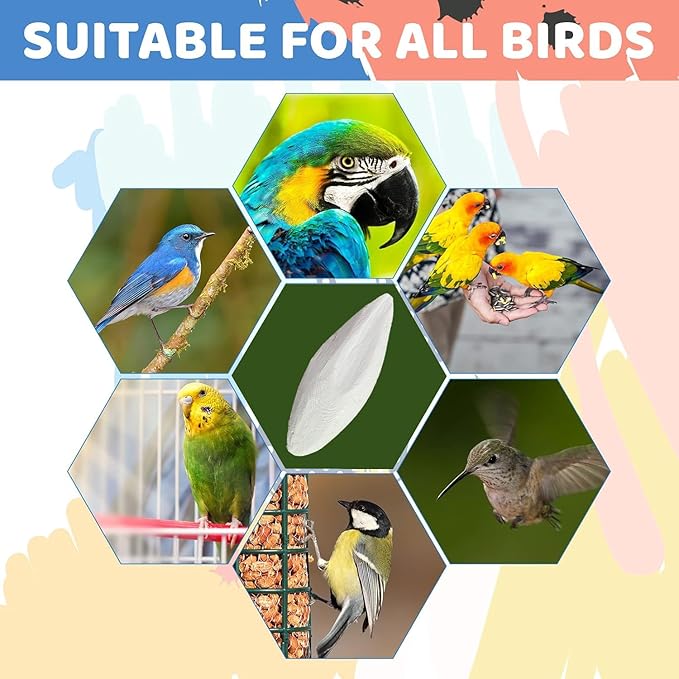Bird Cuttlebone for Parakeets Cuttlebone for Birds - 100% Natural Cuttlefish Bone Bulk Chew Toy Bird Bites Calcium Stone for Canaries Tortoises,Snails,Reptiles,Parrots,Cockatiel