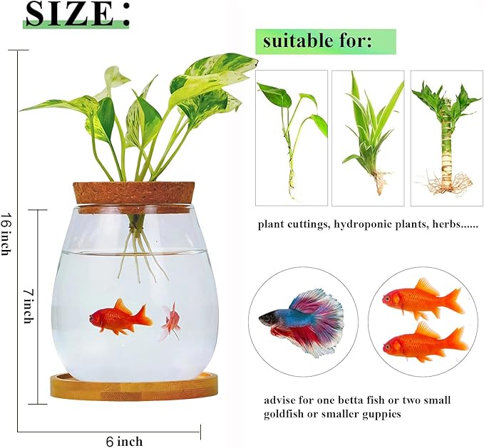 0.5 Gallon Fish Bowl Betta Fish Tank Glass Aquarium with Wood Lid & Bamboo Stand – Hydroponic Plants Planter, Glass Vase, Gift