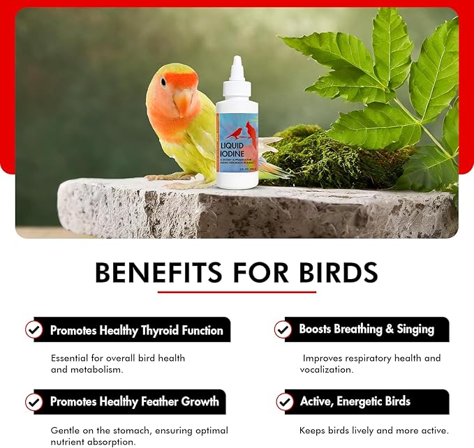 Morning Bird Liquid Iodine for Birds 2 fl oz – Iodine Mineral Supplement – Supports Feather Growth, Molting, Energy & Healthy Thyroid Function – Easy-to-Use Drops
