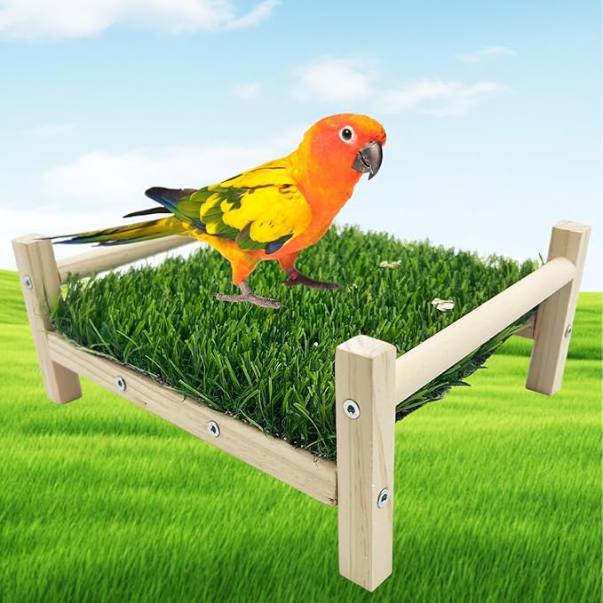 FlidRunest Bird Foraging Bed, Parrot Hammock Bed, Parrot Grass Perch Bed, Bird Perch Conure Platform Grass Forage Toy for Parakeet, Cockatiel, Lovebird, Budgie