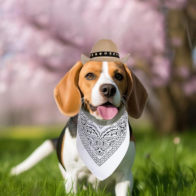 choyaxo Halloween Costumes for Dogs Cat Pet Cowboy Costume Cowboy Hat with Bandana Set for Halloween, Christmas, Holiday, Party, Cosplay (Khaki, Small)