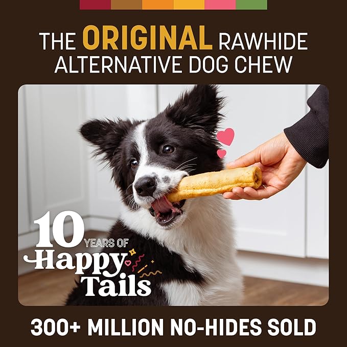 Earth Animal No Hide Chews - Long Lasting Rawhide Free Medium Dog Chews Rolls, Peanut Butter - 2 Count