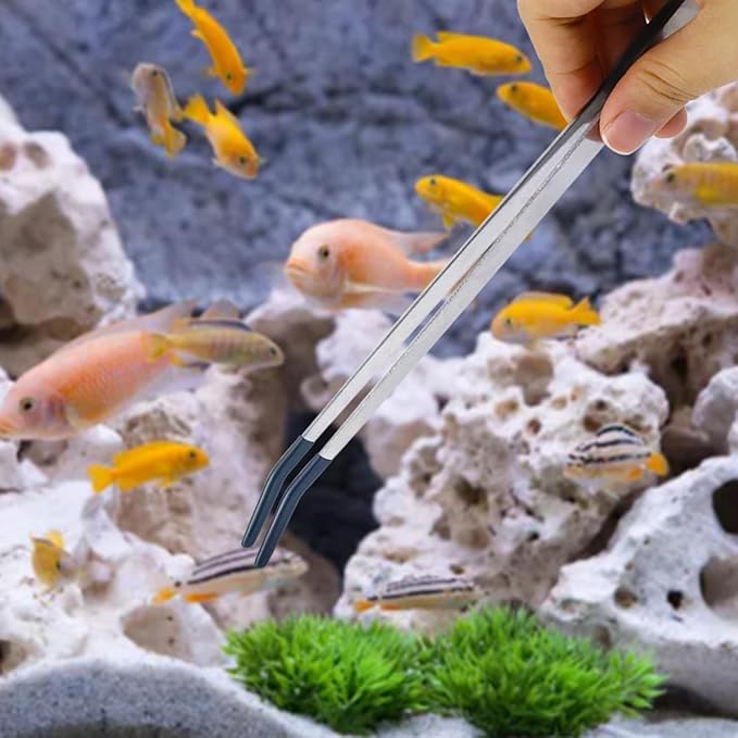 2Pcs Reptile Feeding Tong with Rubber Tip Aquarium Tweezers Stainless Steel Straight Curved Feeding Tong Long Handle Terrarium Feeder Tool for Tank Lizards Bearded Dragon Spider Snake