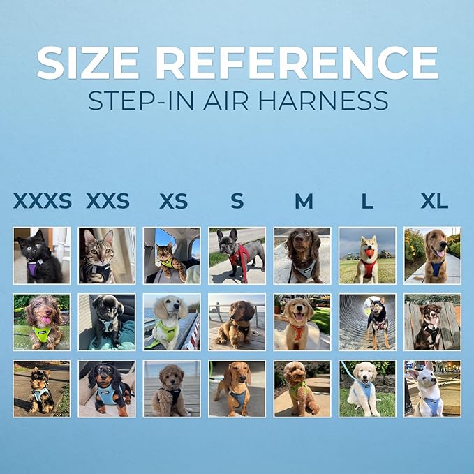 Best Pet Supplies Voyager Step-in Air Harness - All Weather Mesh, Reflective, No Pull Harness for Dogs, Cats - Secure with Hook & Loop Fastener, Buckle, Double D-Rings - Turquoise, XXXS