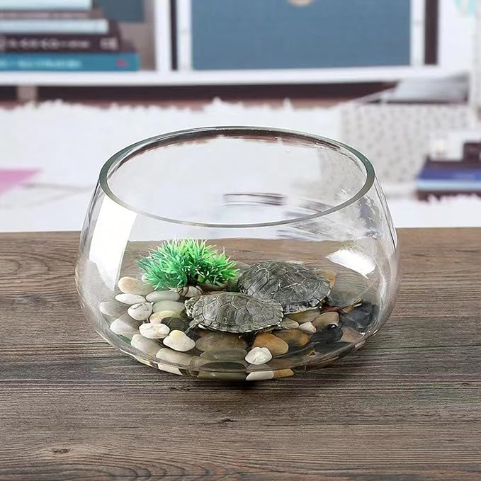 BESPORTBLE Thickened Round Glass Turtle Bowl Fish Tank 20l Simple Hydroponic Plant Aquarium Terrarium for Home Desktop Aquatic Pets