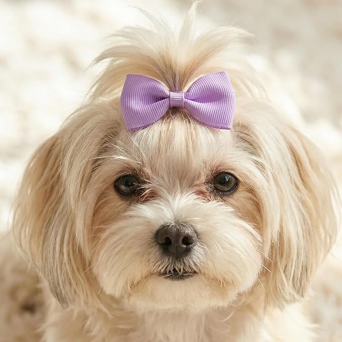 40 Pcs Hair Bows for Dogs, 2 Inches Small Puppy Hair Bows with Rubber Bands Dog Hairs Clips for Yorkie Doggies Cat Kitten Rabbit Pet Grooming