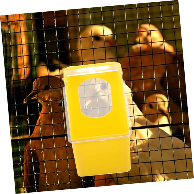 BESPORTBLE 4pcs Pigeon Feeder Bird Cage Feeder Watering Supplies Parrot Feeding Box