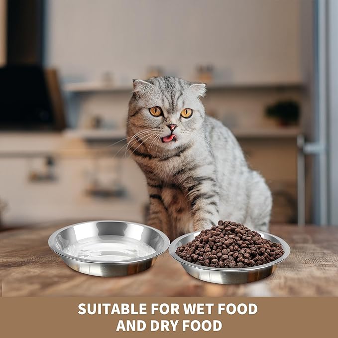 HUOIQUE 10 Pcs 6.2 Inches Stainless Steel Cat Bowls, Whisker Friendly Metal Shallow Cat Dishes for Food and Water