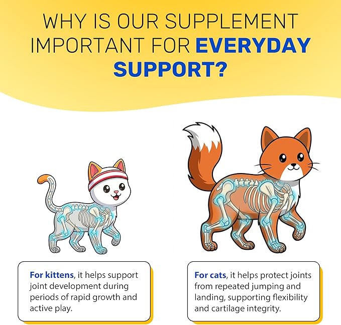 Glucosamine for Cats Maintains Strong Muscular System, Ligaments, Hips – Squeezable Cat Joint Supplement with Chondroitine, MSM, Taurine – Lickable Formula with Natural Beef Flavor in 10-Sticks Pack