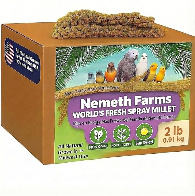 Nemeth Farms–Natural Sun Dried Millet Spray for Pet Birds–Bulk Parrot Seed Treats and Parrot Food–Natural Non GMO Millet Spray–Cockatiels Lovebirds Parakeet 2 lbs.
