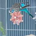 Windmill Roller Parrot Toy Bird Toys Bird Cage Accessories Parakeet Toy Chewing Toy for Conure Cockatiel Budgies Lovebird Parrotlet Sun Conure Budgie Mini Macaw Small Medium Birds (Red)
