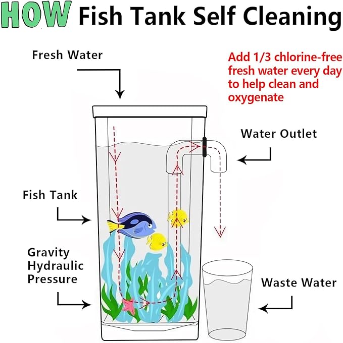 My 1st Fish Tank™ : Gen 2, Mini Fish Tank Aquarium Starter Kit 1 gal, Professional for Betta, Easny Maintain, Self Cleaning System-Only Add Water, Beautiful Color Changing LED Light, Color Box