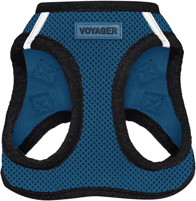 Best Pet Supplies Voyager Step-in Air Harness - All Weather Mesh, Reflective, No Pull Harness for Dogs, Cats - Secure with Hook & Loop Fastener, Buckle, Double D-Rings - Blue/Black Trim, XXS