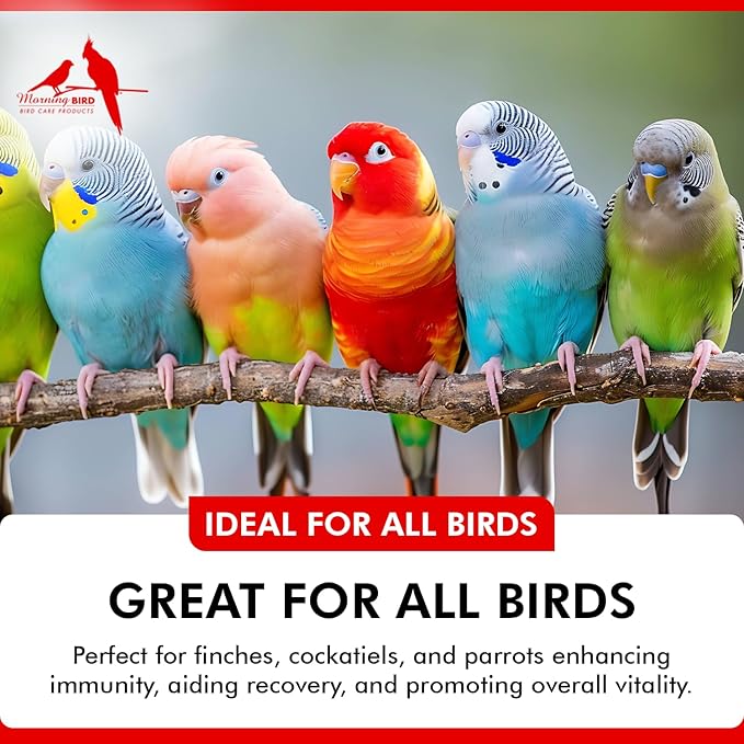 Morning Bird Spirulina, Supplement for Caged Birds, Organic Bird Food Supplement with Vitamins, Proteins, and Amino Acids for Parakeets, Cockatiels, Budgies, Finches, Canaries, and Parrots, 3 oz