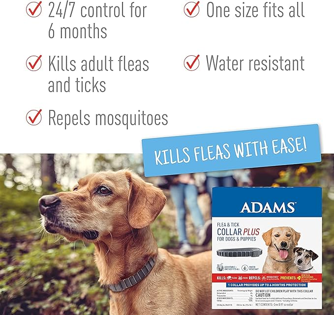 Adams Plus Shampoo 12 oz. + Flea & Tick Collar
