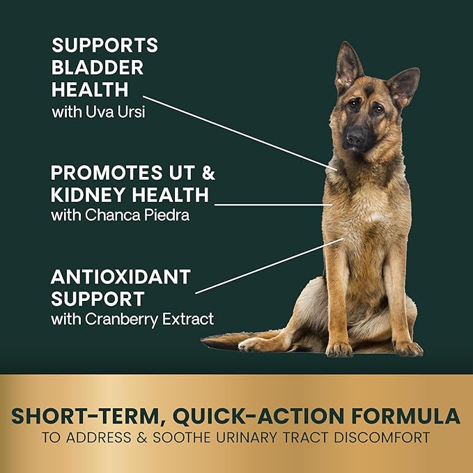 VetriScience Quick Action UT Health Chewable Tablets, UT Strength STAT Supplement for Dogs, Cranberry, Uva Ursi, and Chanca Piedra to Soothe Urinary Tract Discomfort, Smoke, 90 Count