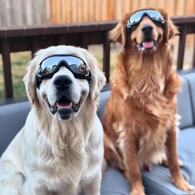 Enjoying Dog Goggles for Medium to Large Dogs, Dog Sunglasses UV Protection, Large Dogs Driving Eye Protection, Windproof Dustproof Anti-Fog, Breathable, Adjustable Straps, Black