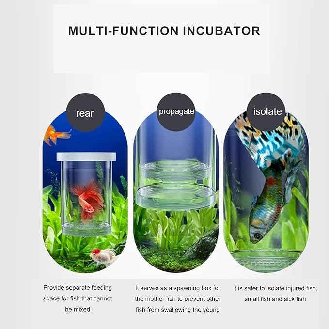 Aquariums Breeding Box Hatchery Shelter House for Guppy Bettafish Clownfishs with Divider Design Floating House 3PCS Bettafish Nursery Tanks