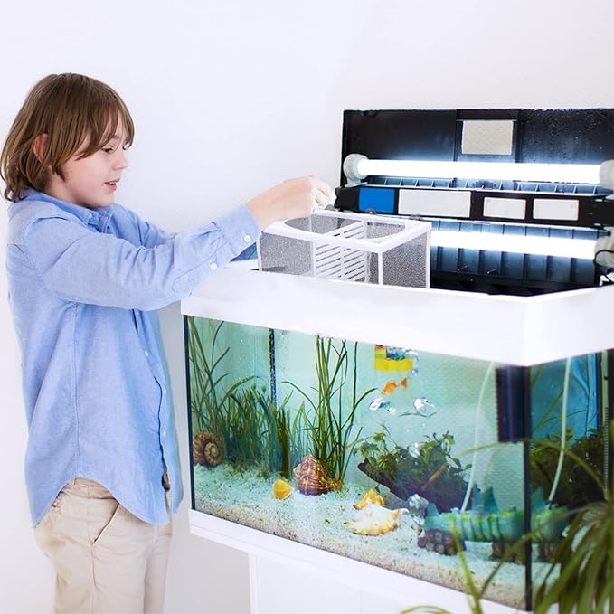 Hatchery Box for Fish Tank Shrimp Fish Breeding Box Isolation Net Color