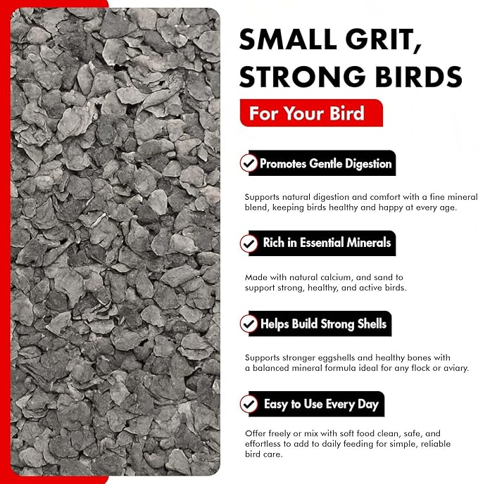 Morning Bird Poultry Grit for Birds 9 lbs - Mineral-Rich Supplement for Digestion & Calcium Support - Natural Poultry Feed Additive and Chicken Grit for Healthy Birds