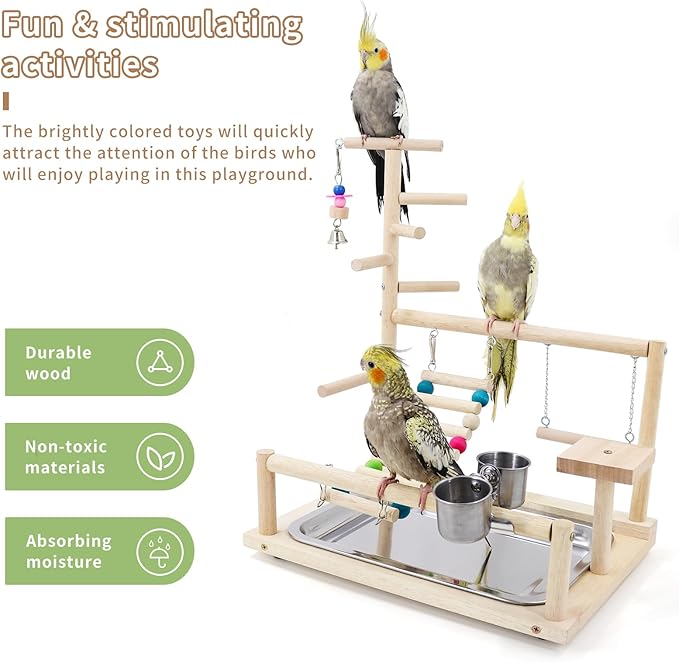 Bird Playstand Cockatiels Playground Perch Stand Parrot Play Gym for Parakeets Conures Parrotlets and Finches, Easy Assembly Includes Colorful Toys and Perch 1Ladder with Platform